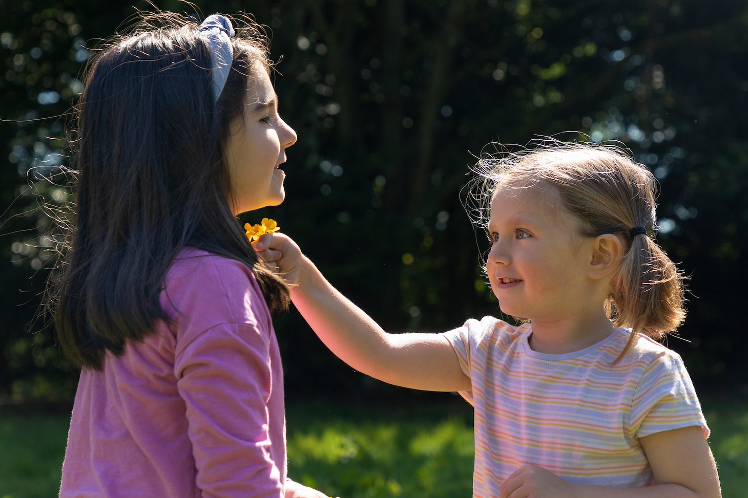 Young girl holding buttercups under chin of sister 'to see if she likes butter!'