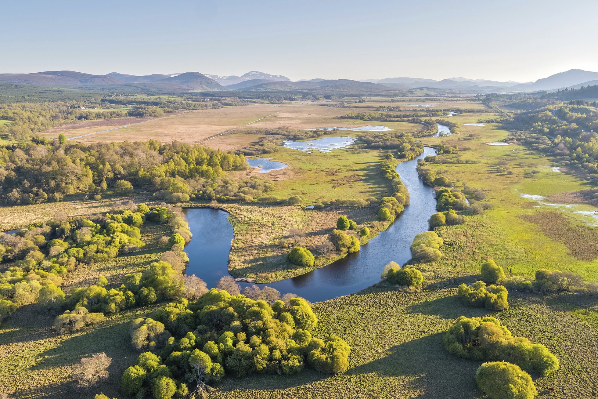 Insh Marshes