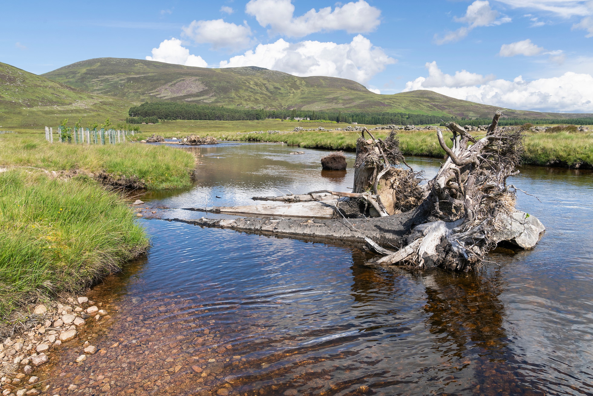 River Processes