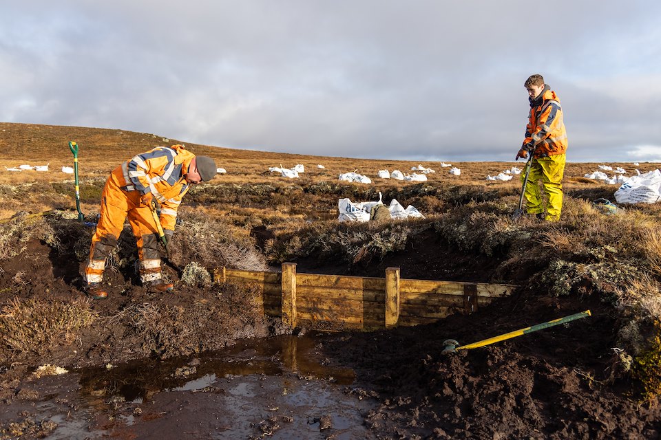 Peatland Restoration