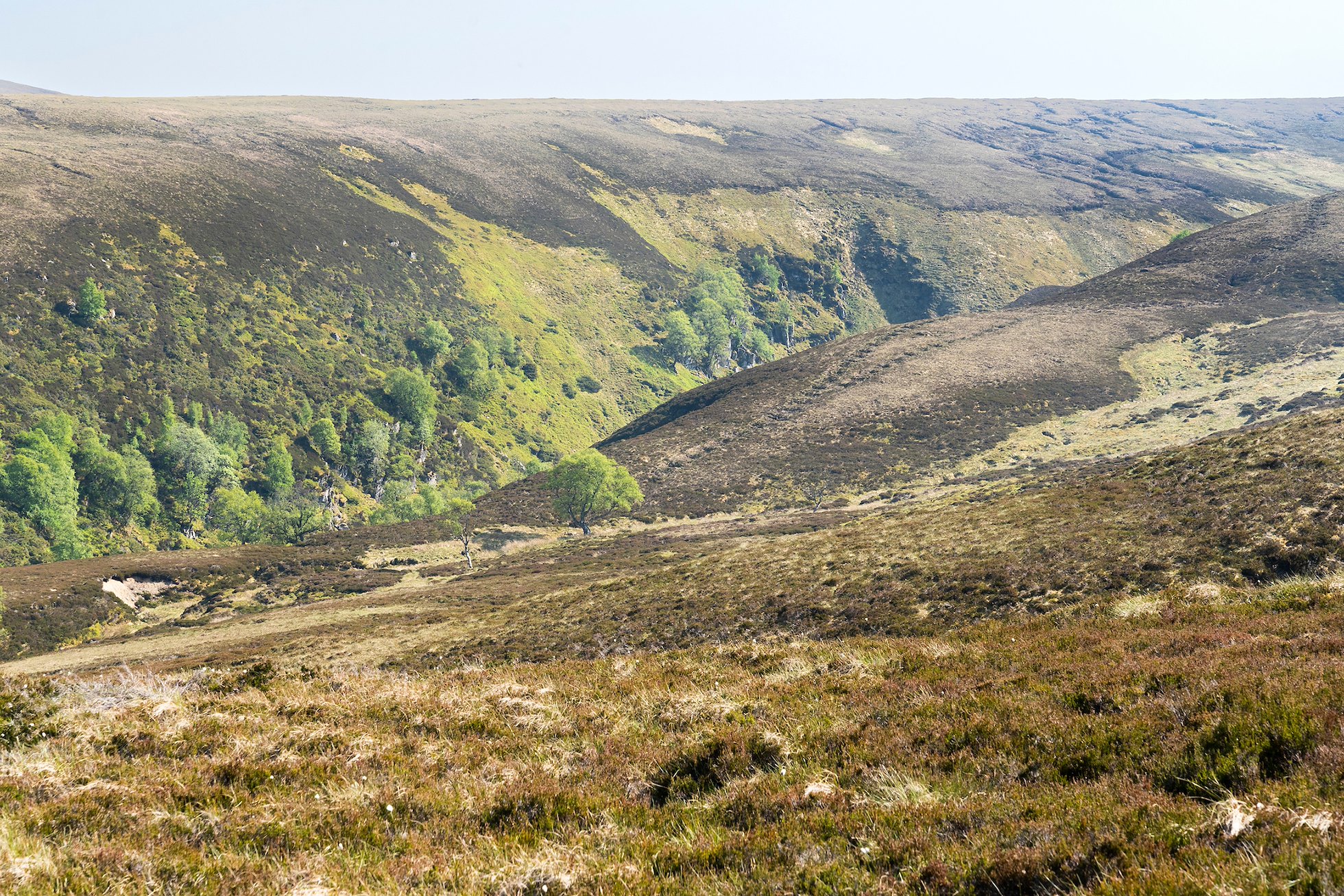 Landscape Scale Restoration