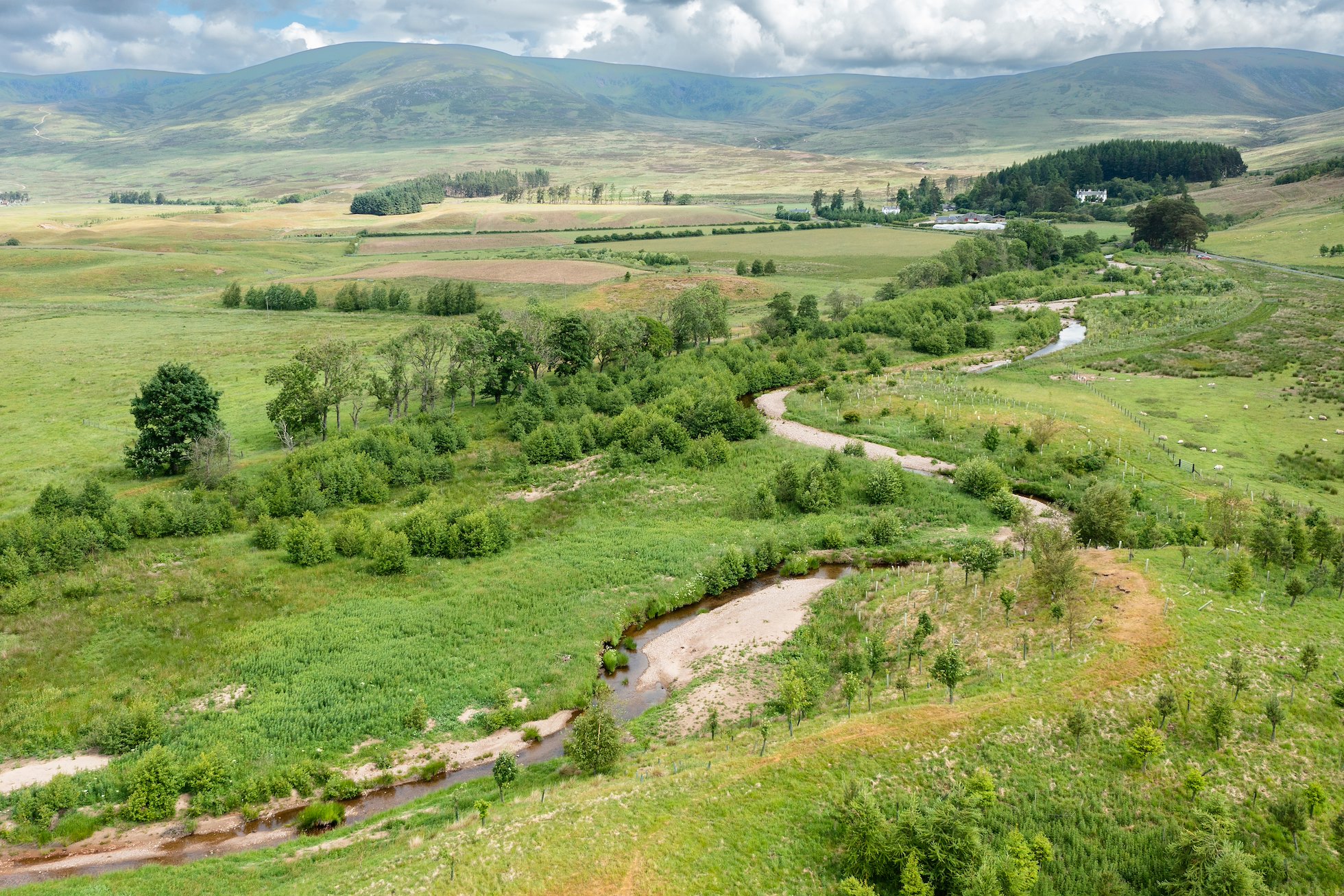 Wildlife on the river system