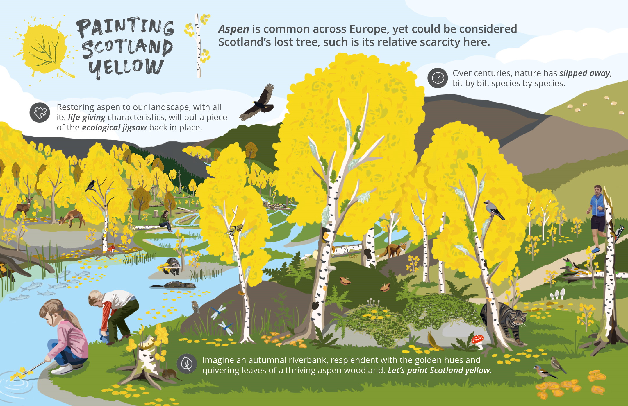 Painting Scotland Yellow | SCOTLAND: The Big Picture