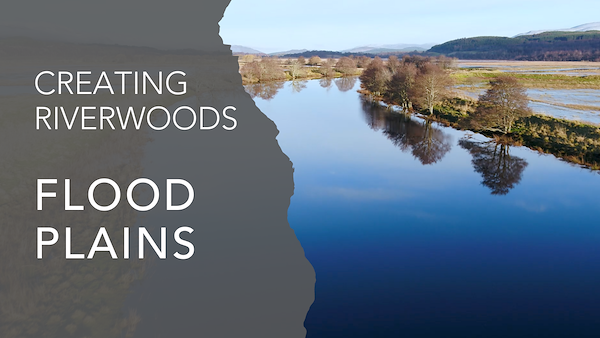 Floodplains