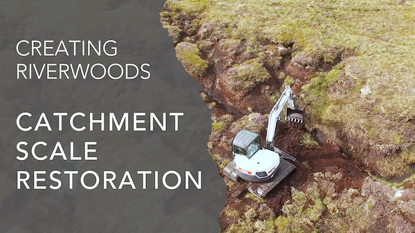 Catchment scale restoration