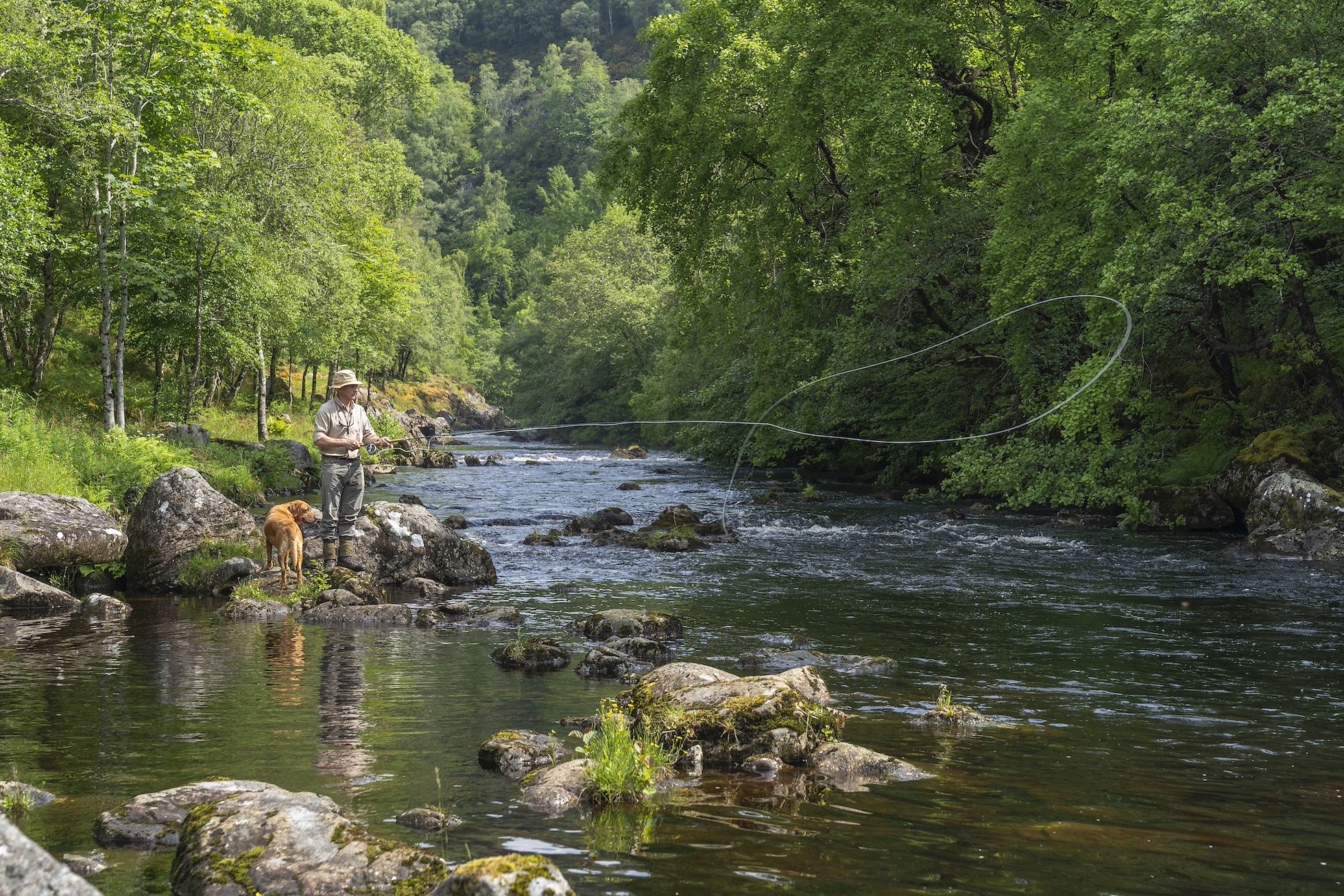 Riparian Planting