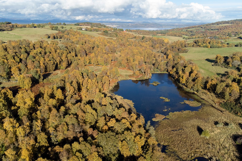 Aerial view of beaver pond and wetland surrounded by birch woodland, South Clunes Farm, Inverness-shire