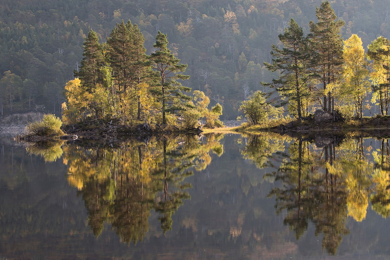 Autumn reflections in Loch Beinn a Mheadhoin, Glen Affric, Scotland.