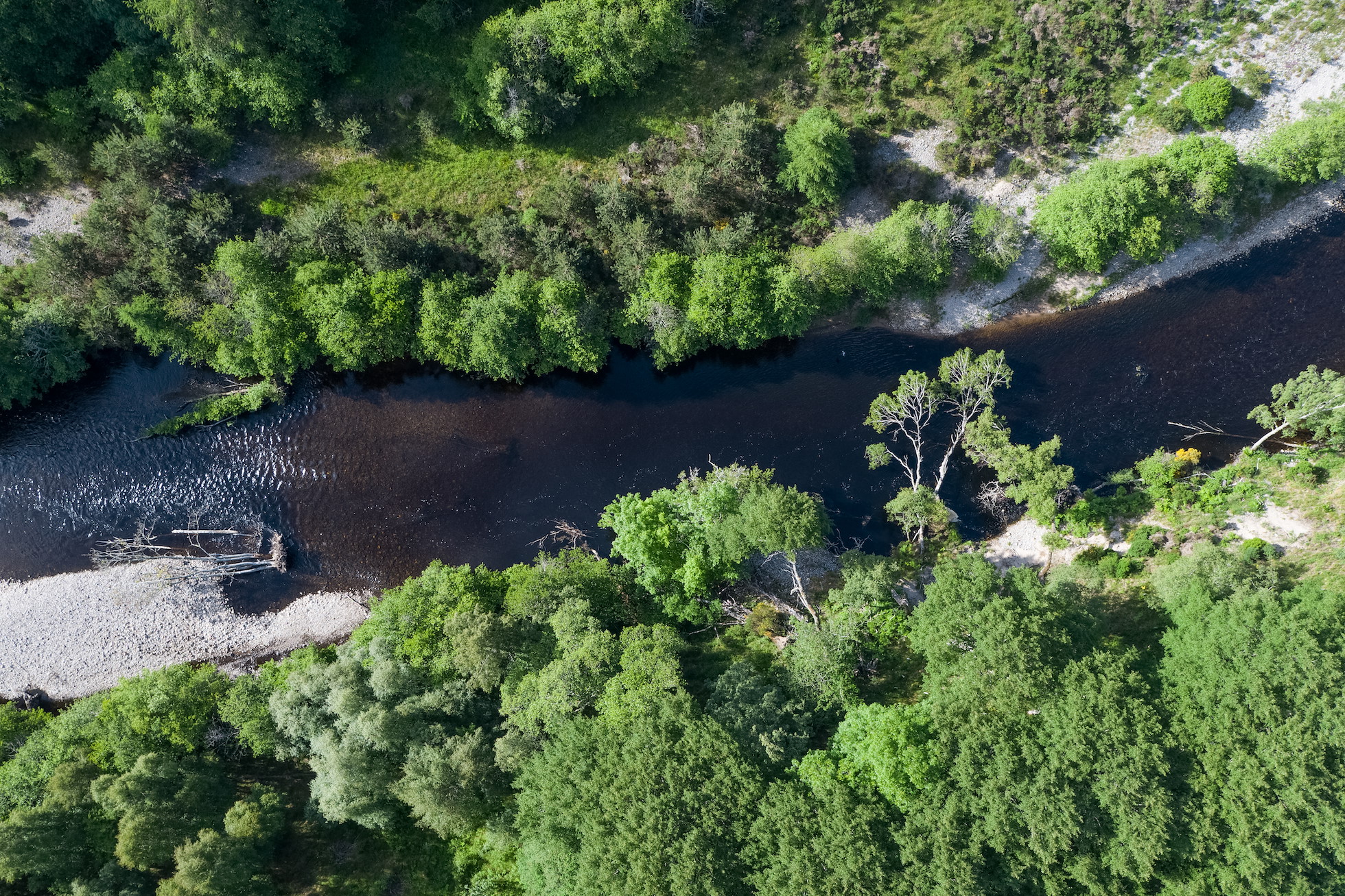 Restoring Wild Rivers - Rewilding Retreat - Rewilding Learning Day