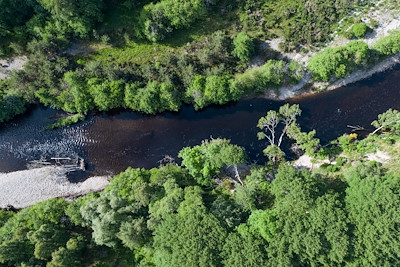 Restoring Wild Rivers
