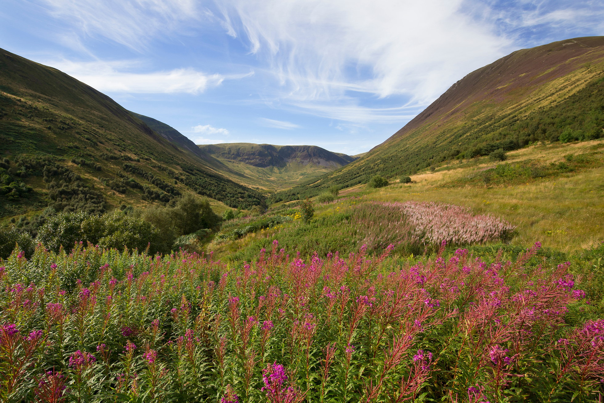Carrifran Valley in the Scottish Borders, site of major woodland restoration project, Scotland.