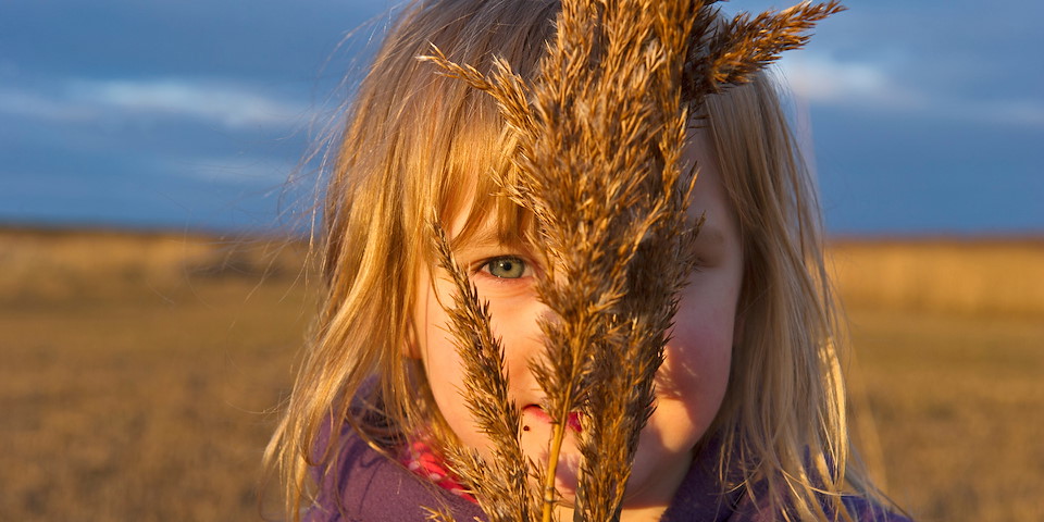 making rewilding happen for nature, climate and people WATCH OUR FILM