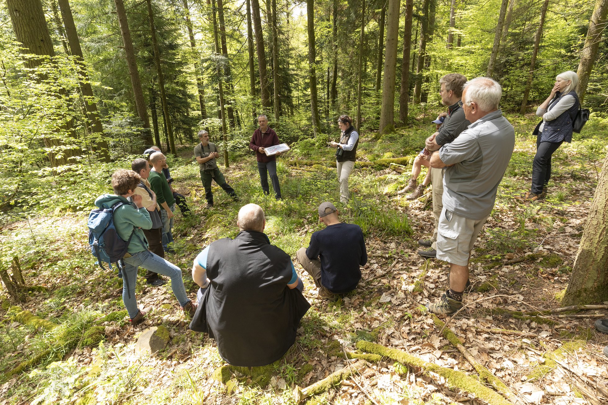 Pascal Junod, chief of the Forest Dept at Boudry, speaking to delegates on a lynx study tour to the Jura, Switzerland, May 2024