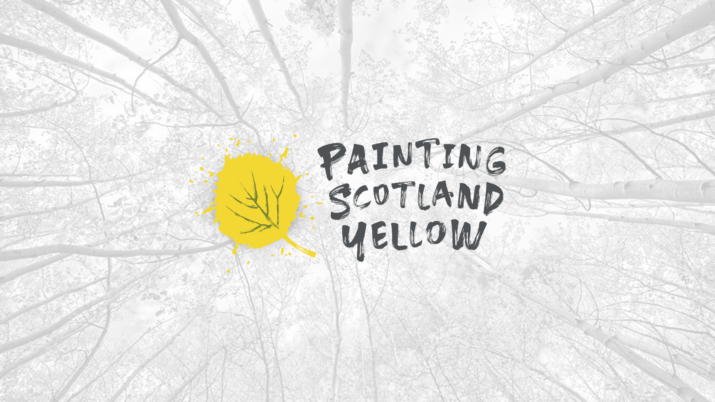 Painting Scotland Yellow