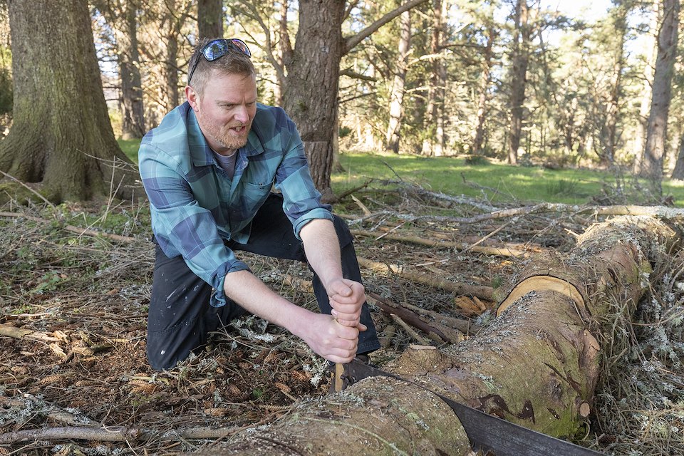 Man cutting tree trunk with hand saw at 'RESTORE' - a community woodland crafts and skills project at Lynamer, a Northwoods Rewilding Network land partner, Nethybridge, Cairngorms National Park, April 2023