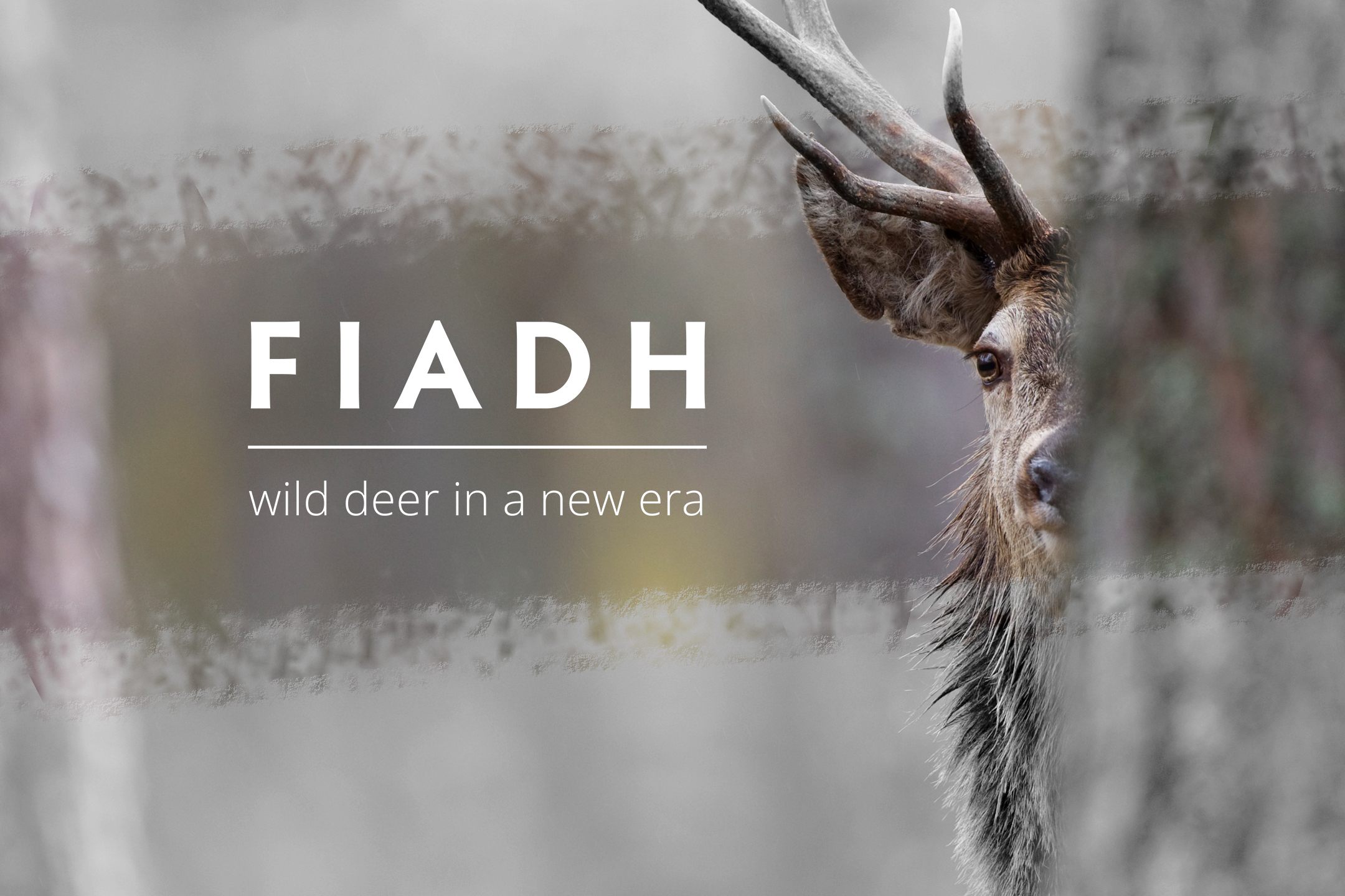 The Fiadh Project