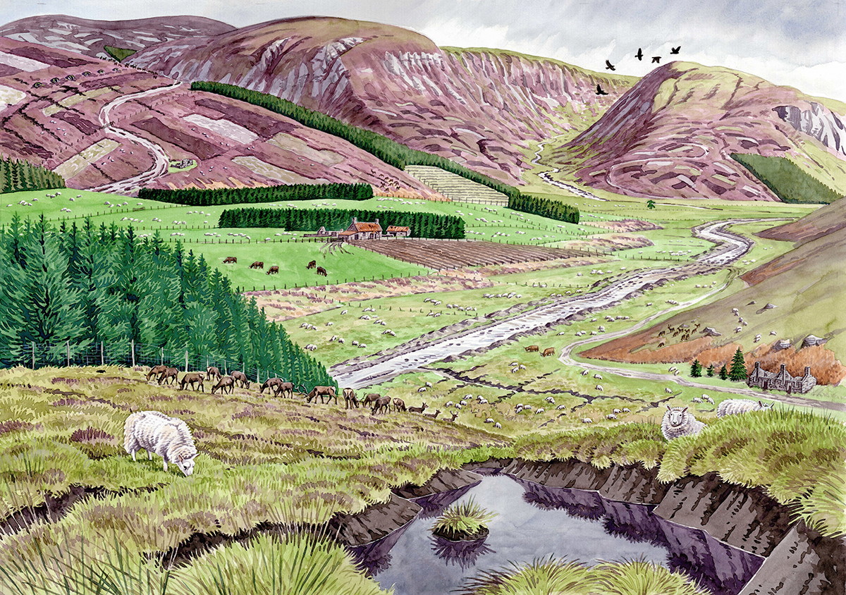 A landscape transformed