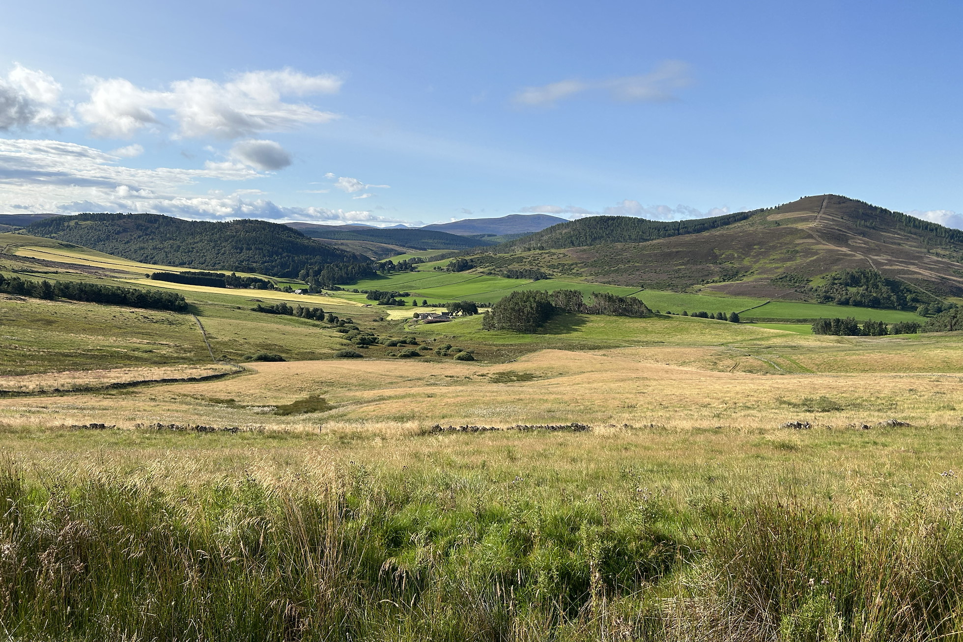 NRN PARTNER: Drumnagarrow Farm NRN PARTNER: Drumnagarrow Farm
