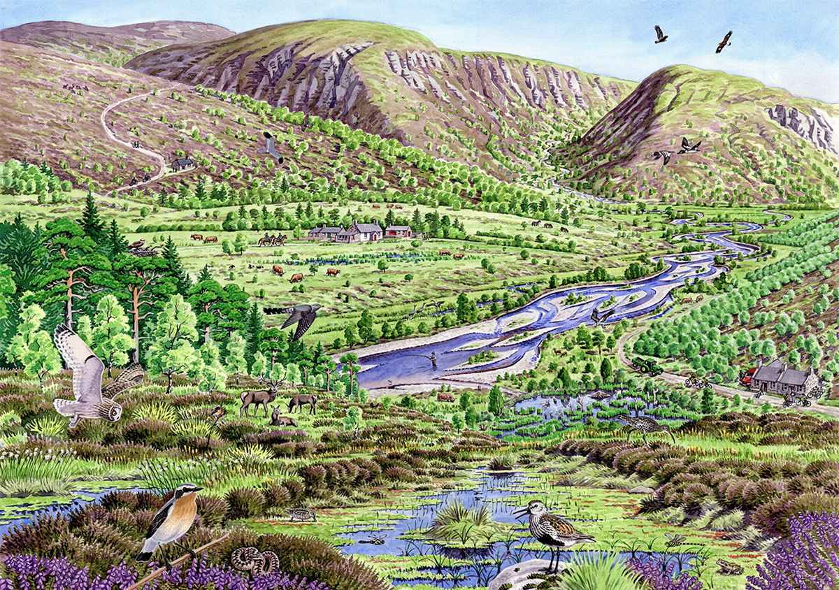 A landscape transformed
