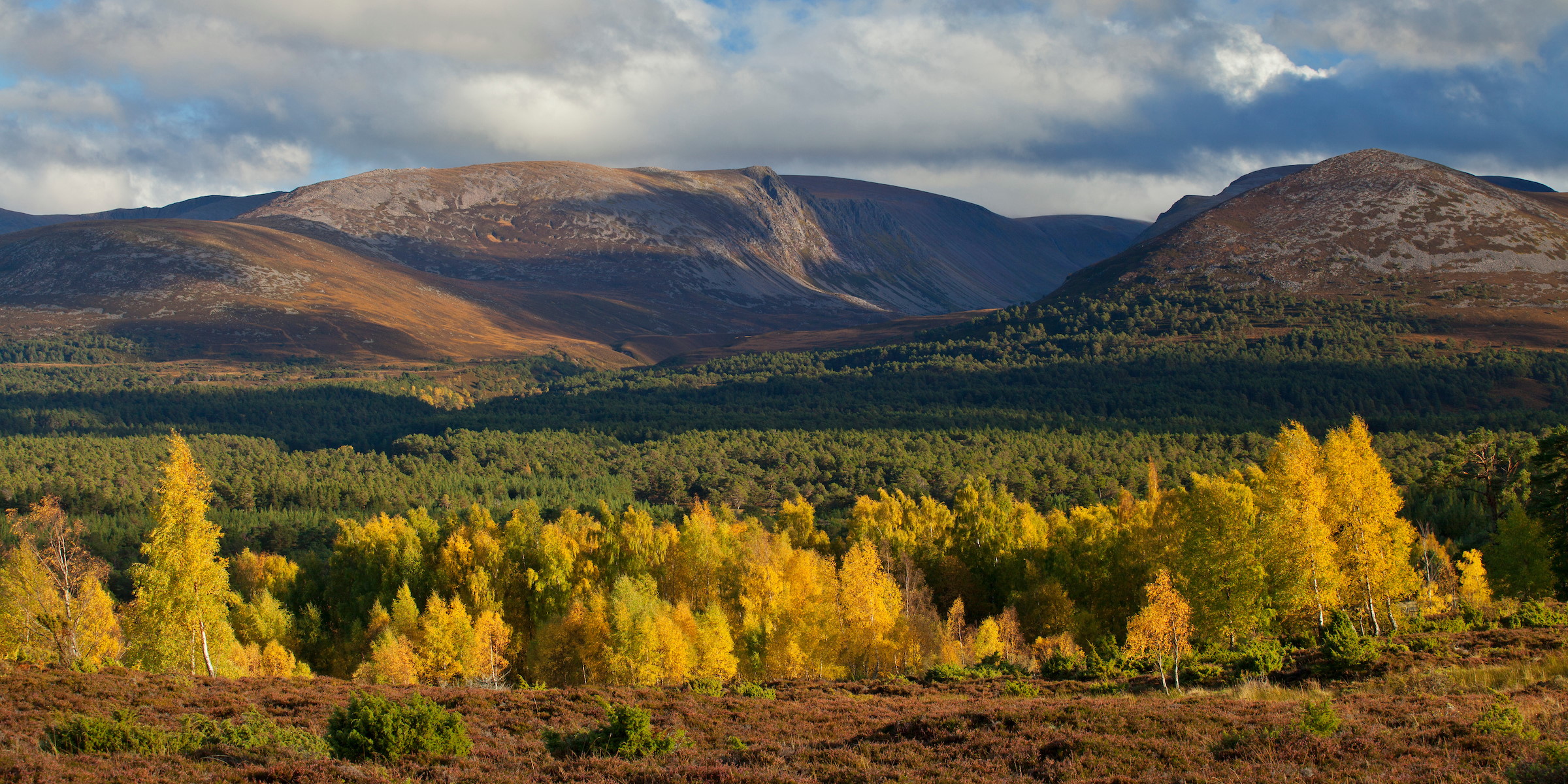 Our Story | SCOTLAND: The Big Picture