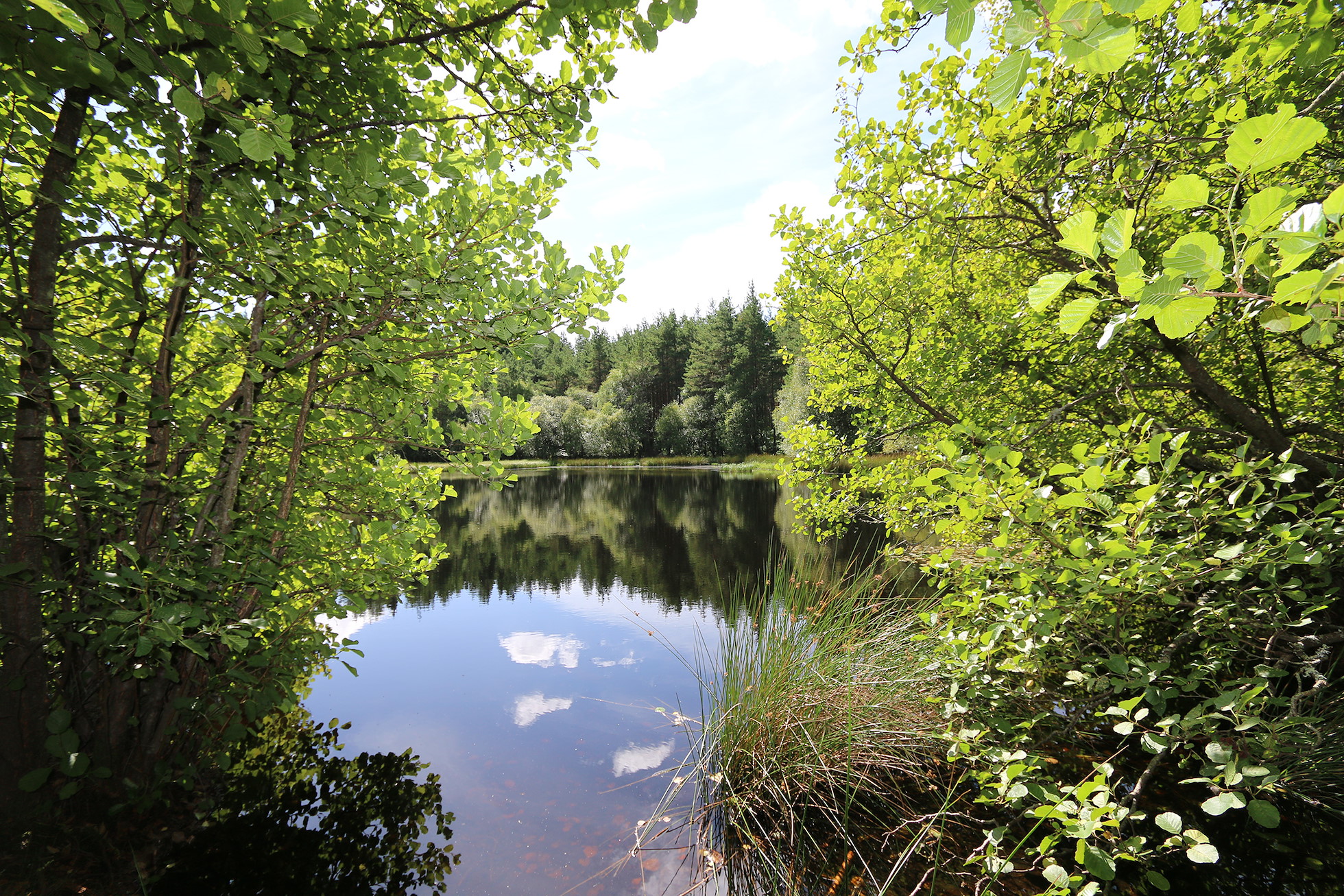 NRN PARTNER: Loch na Bo NRN PARTNER: Loch na Bo