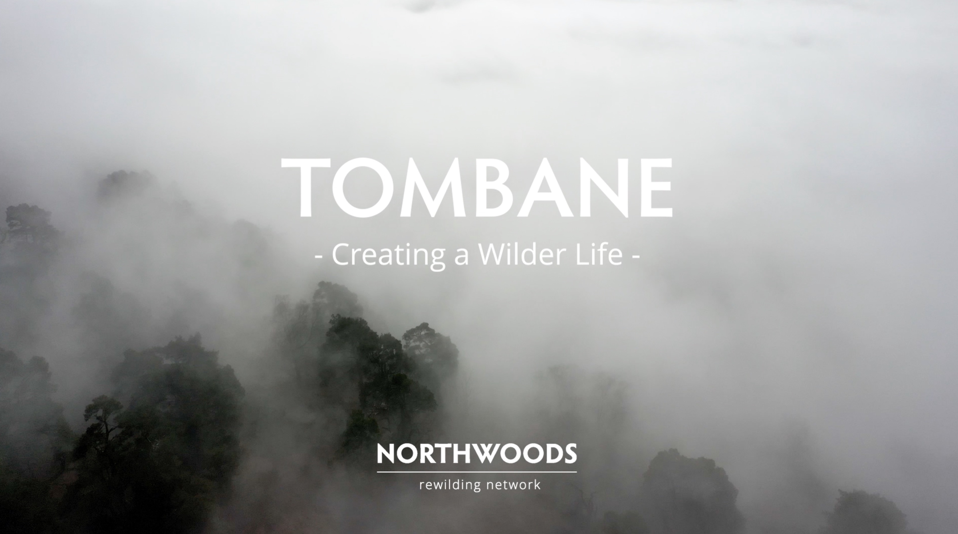 Creating a wilder life