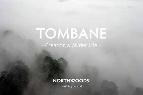 Creating a wilder life Creating a wilder life