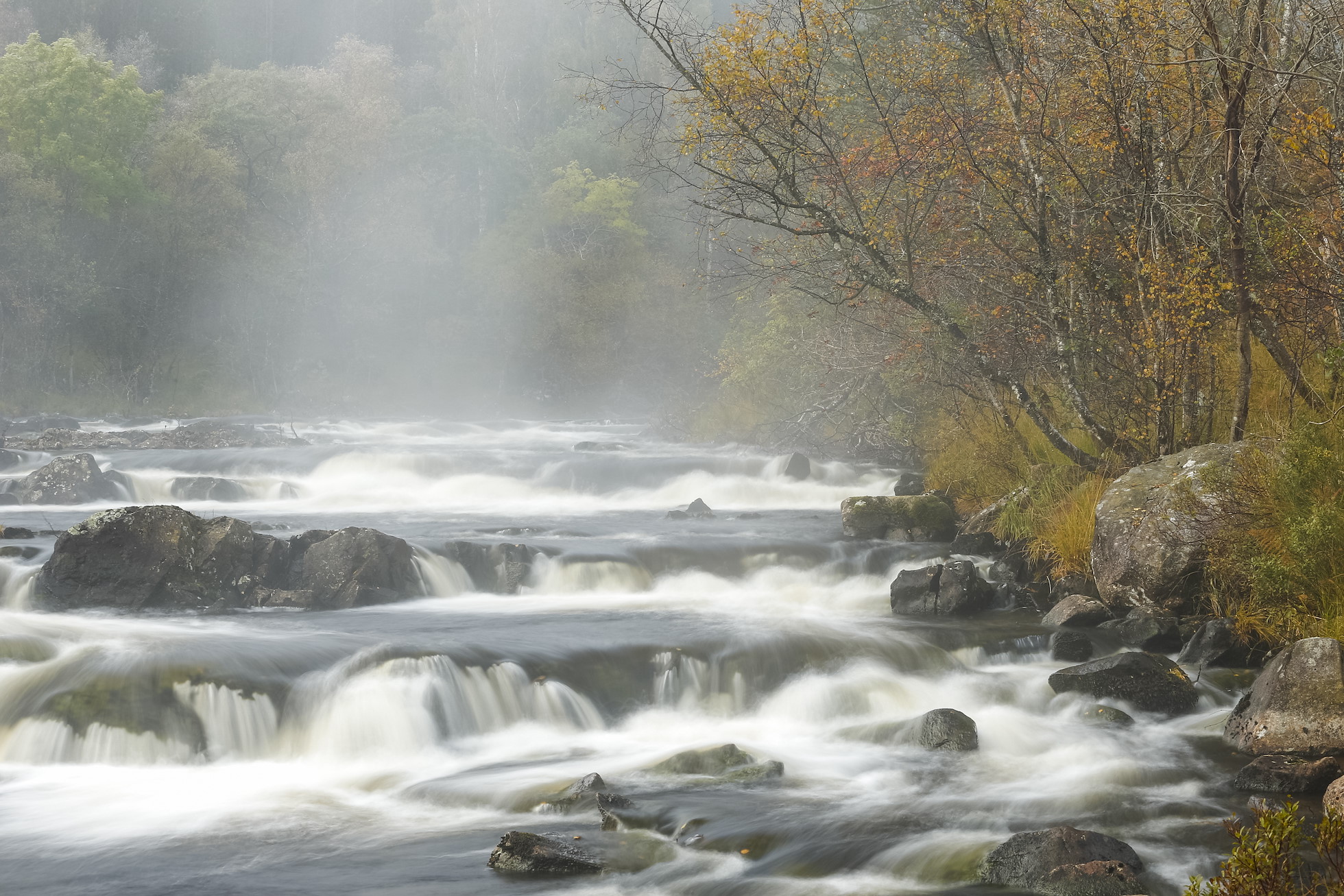 Wild Perthshire - Rewilding Retreat - An immersive weekend of rewilding in the heart of Scotland
