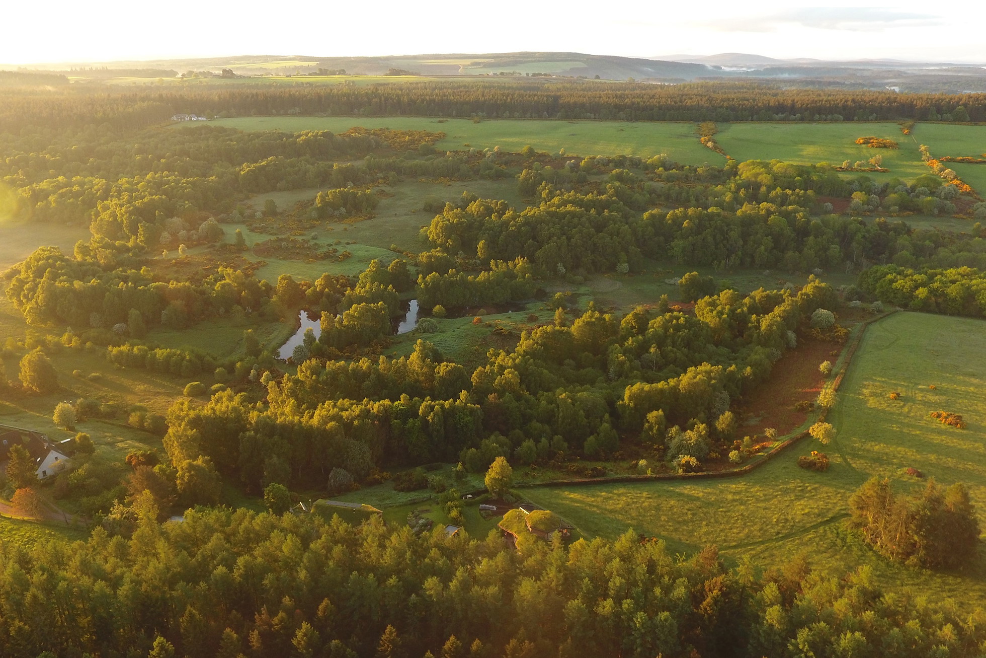 NRN PARTNER: Laikenbuie Ecology Trust NRN PARTNER: Laikenbuie Ecology Trust