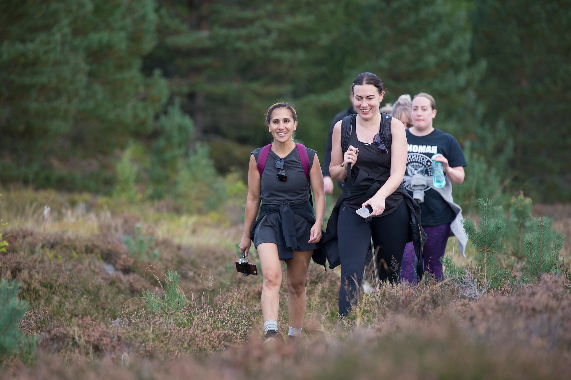 WALKING THE WILD - Rewilding Retreat - A walking journey of rewilding discovery in the Cairngorms National Park