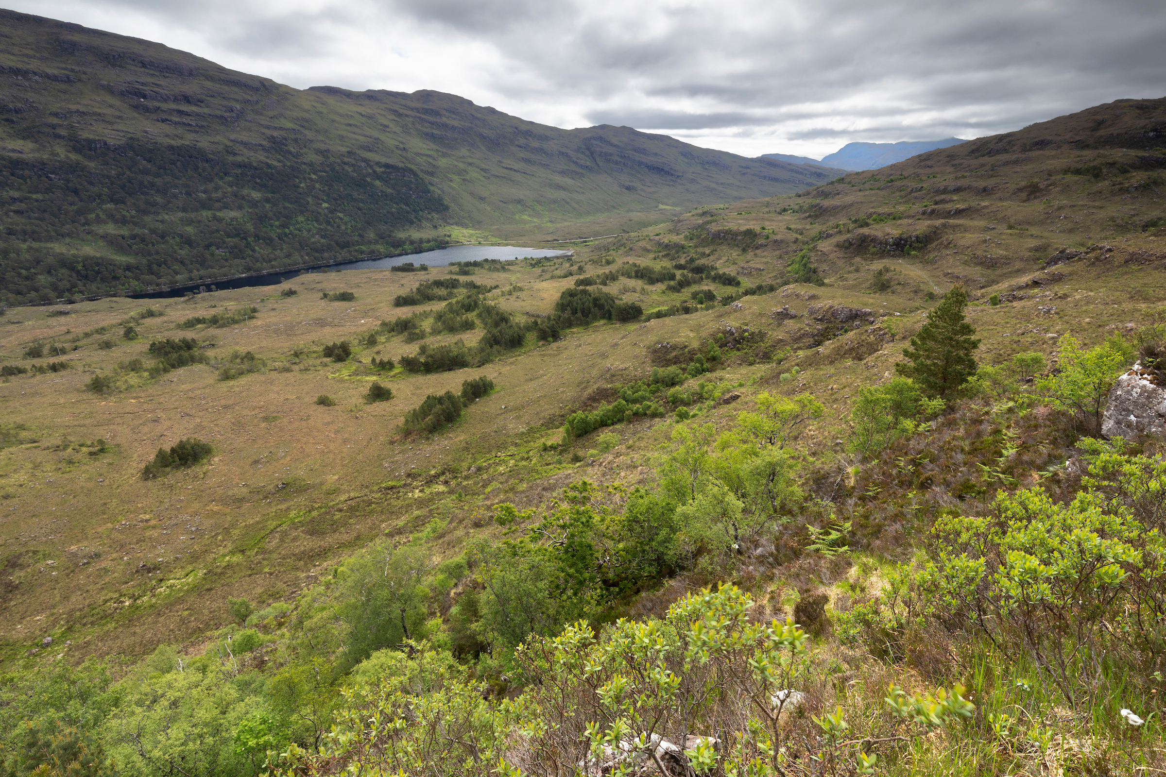 Image illustrating University embarks on rewilding journey with community charity