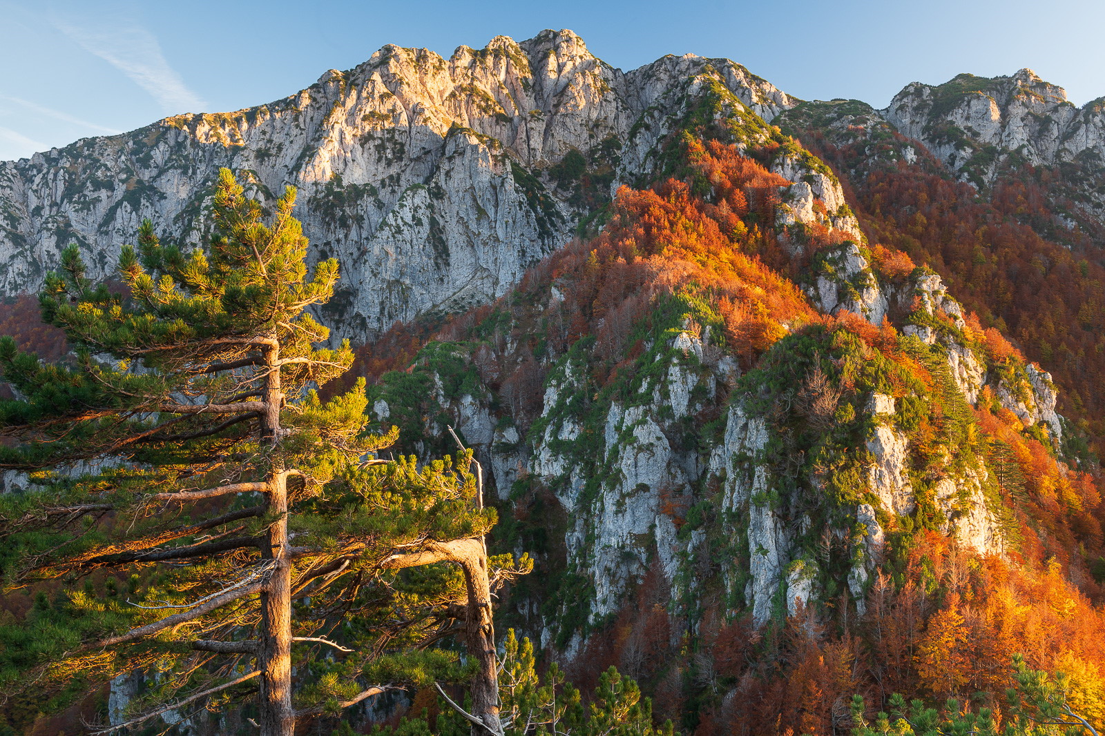 Apennine Adventure - Rewilding Retreat - Wander in the wild landscapes of the Central Apennines and treat your senses to an unforgettable rewilding experience