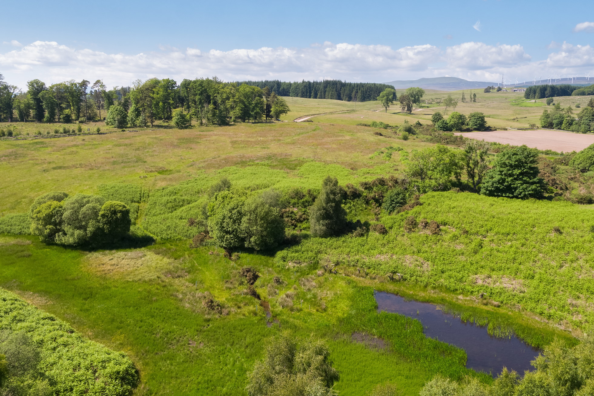 Wildlife Highways: Connecting Habitats - Rewilding Retreat - Rewilding Learning Day