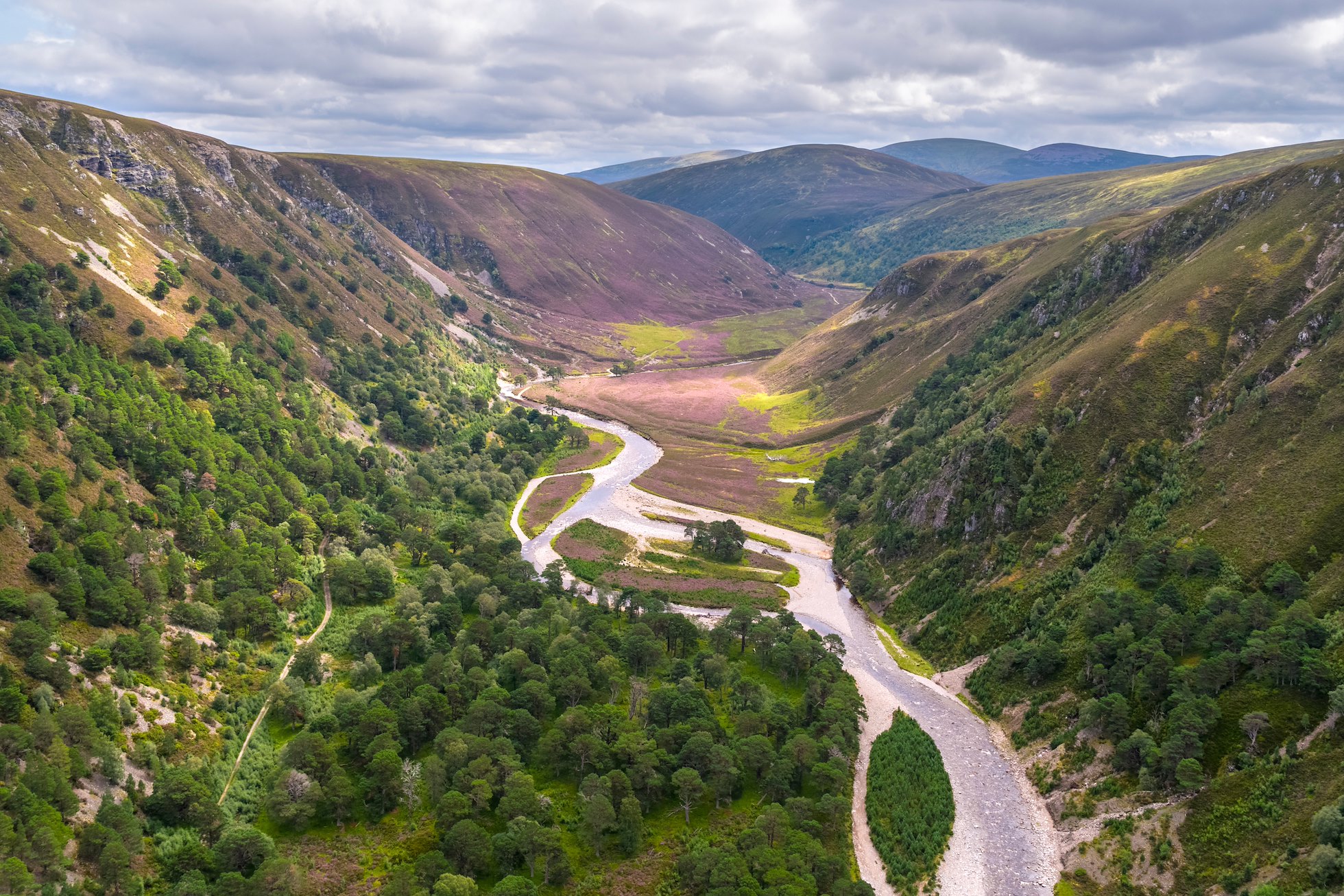 Glenfeshie