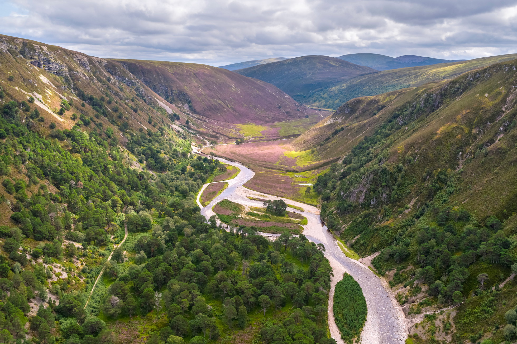 Glenfeshie