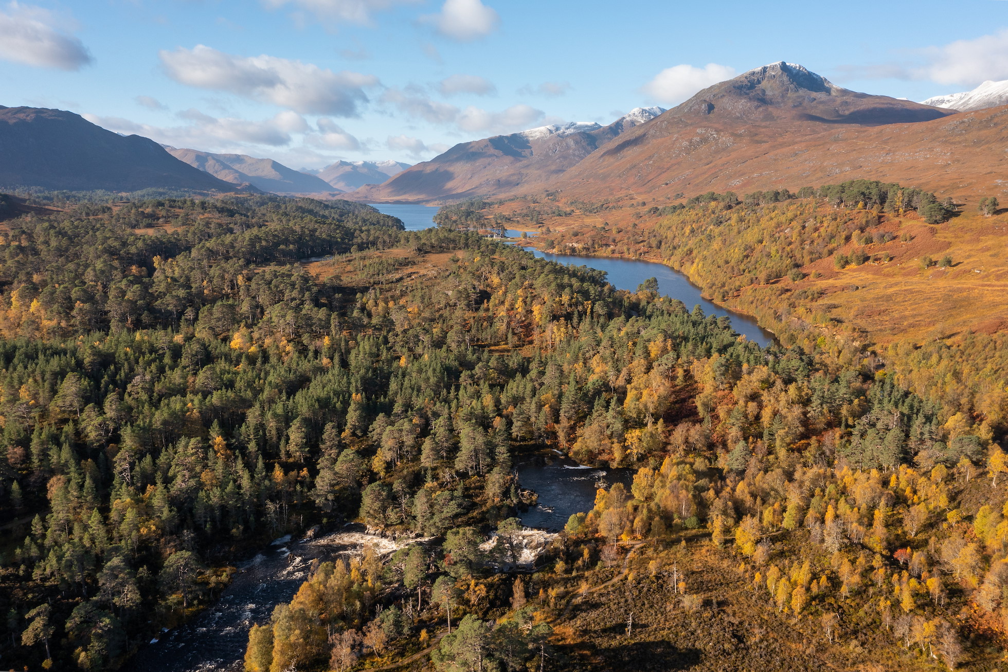 Main image Glen Affric