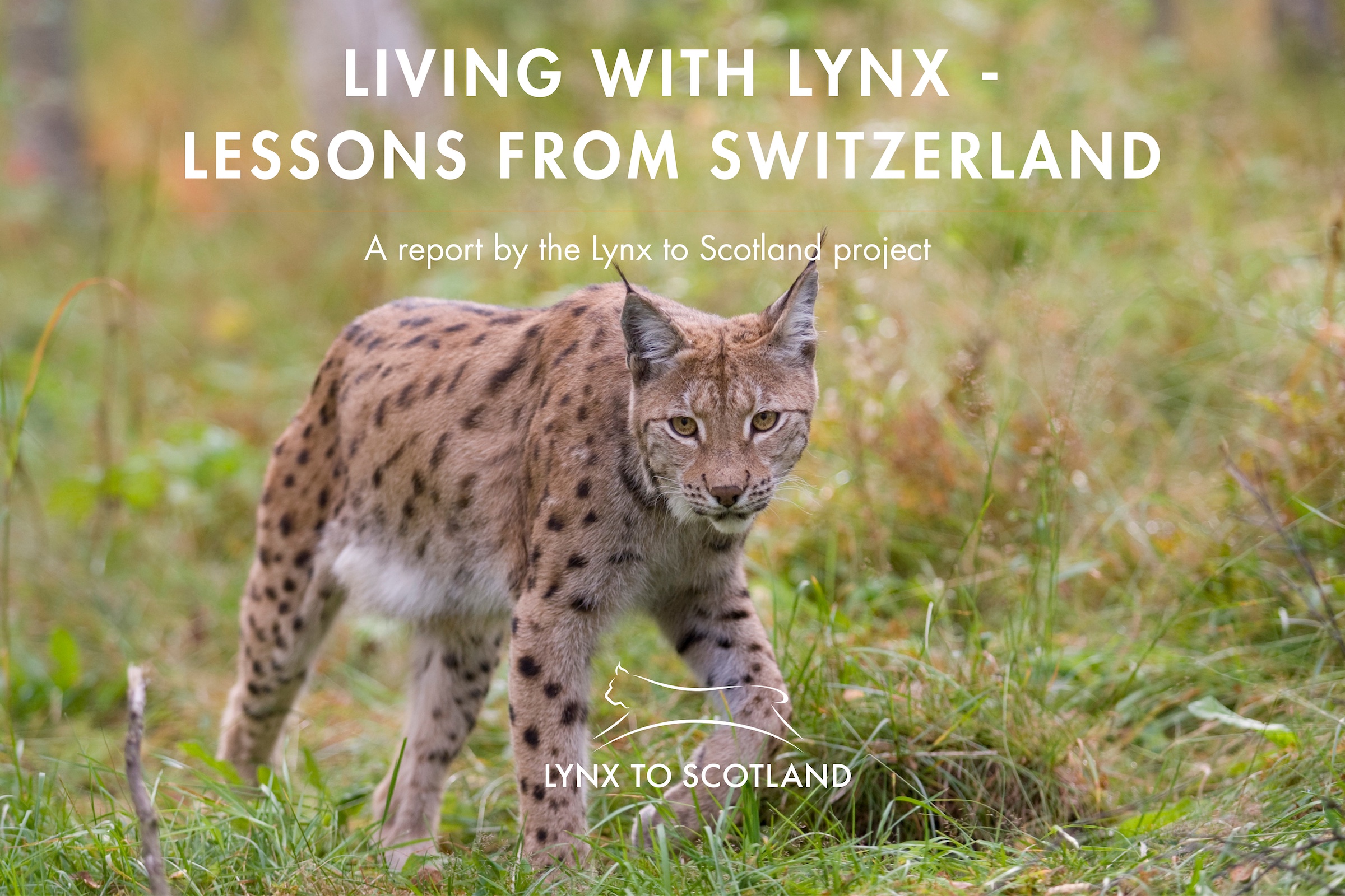 SWISS STUDY TOUR REPORT