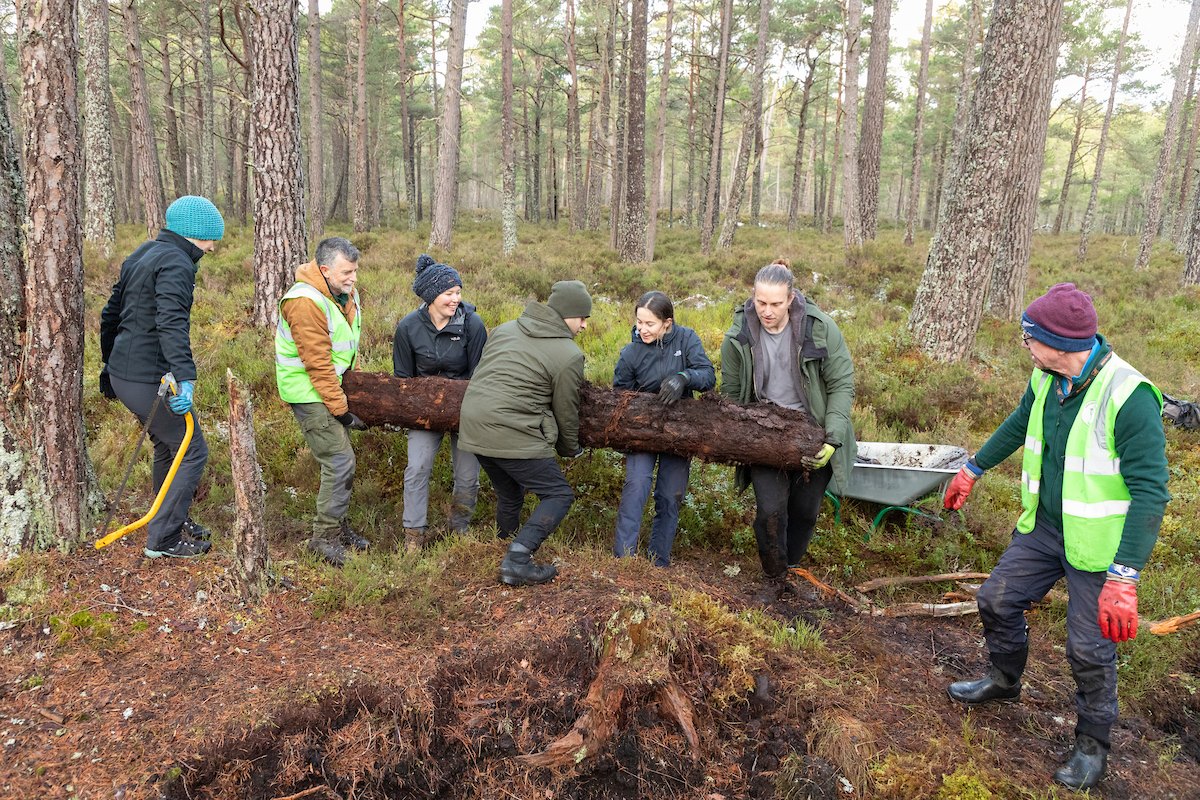 Volunteers creating wetland habitat in pine woodland, Anagach Woods, Cairngorms National Park, February 2025 Volunteers creating wetland habitat in pine woodland, Anagach Woods, Cairngorms National Park, February 2025