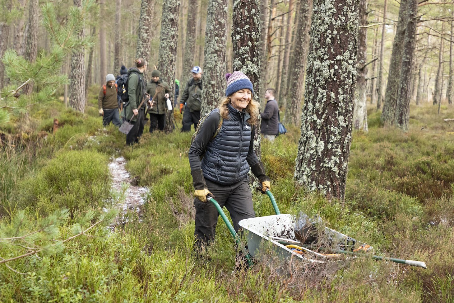 Woman pushing wheelbarrow on a habitat restoration volunteer day, Anagach Woods, Cairngorms National Park, February 2025