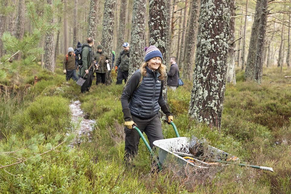 Woman pushing wheelbarrow on a habitat restoration volunteer day, Anagach Woods, Cairngorms National Park, February 2025