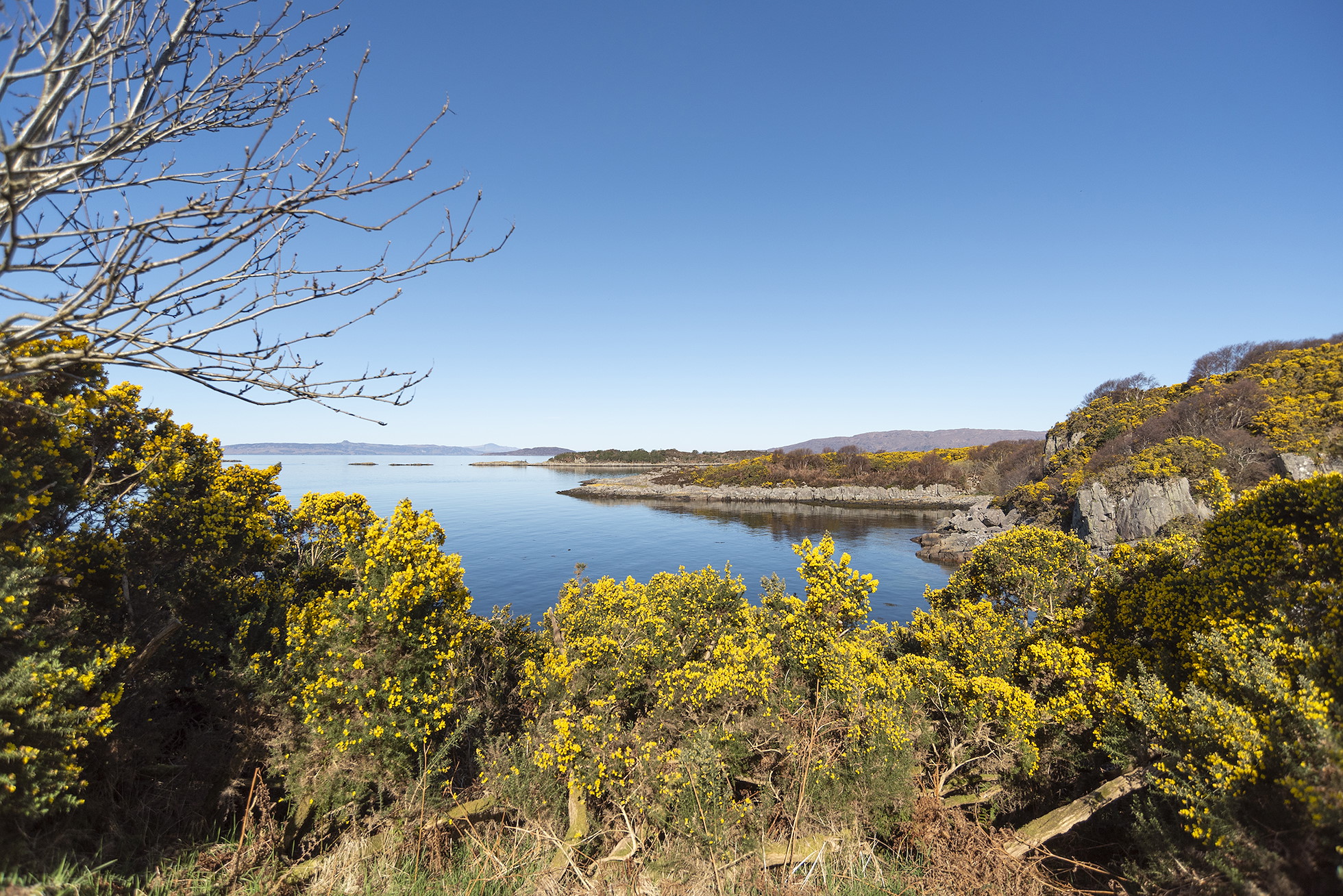NRN PARTNER: Kyle & Lochalsh Community Trust NRN PARTNER: Kyle & Lochalsh Community Trust