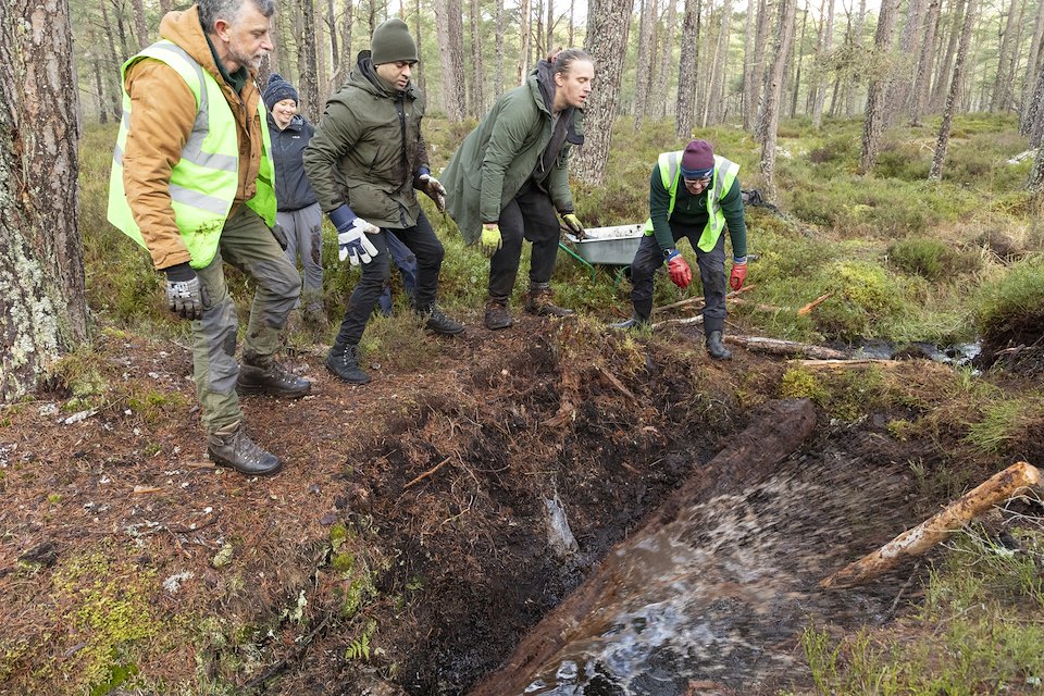 Volunteers creating wetland habitat in pine woodland, Anagach Woods, Cairngorms National Park, February 2025