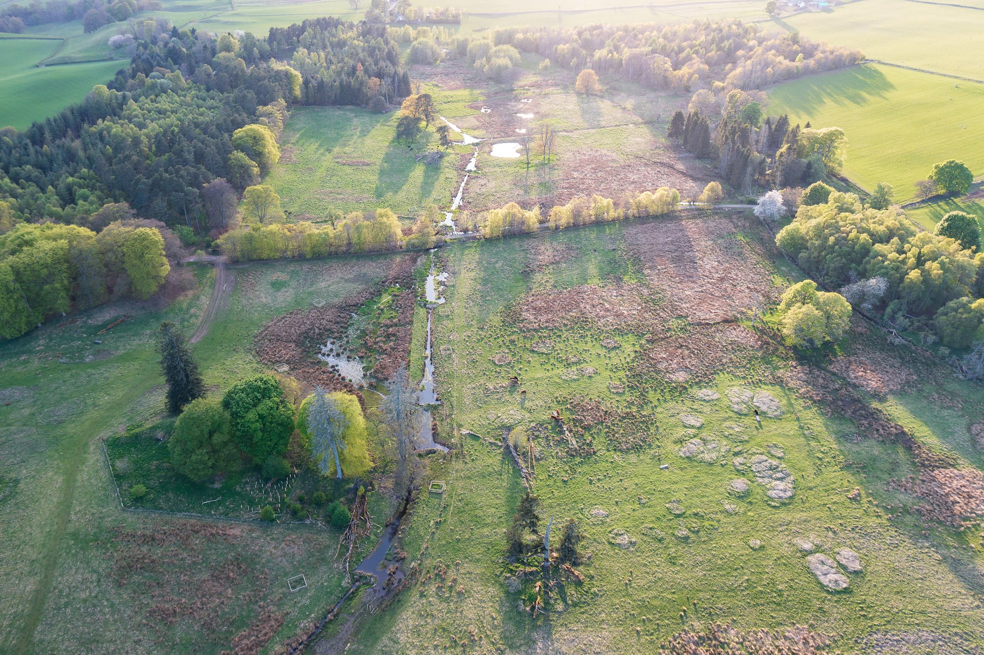 Aerial view of Bamff Wildland