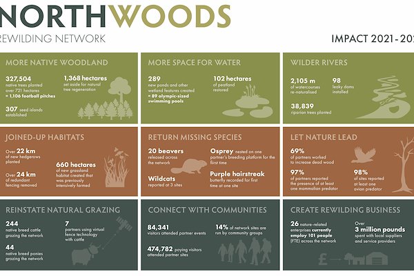 REAL RESULTS FROM OUR NORTHWOODS REWILDING NETWORK REAL RESULTS FROM OUR NORTHWOODS REWILDING NETWORK