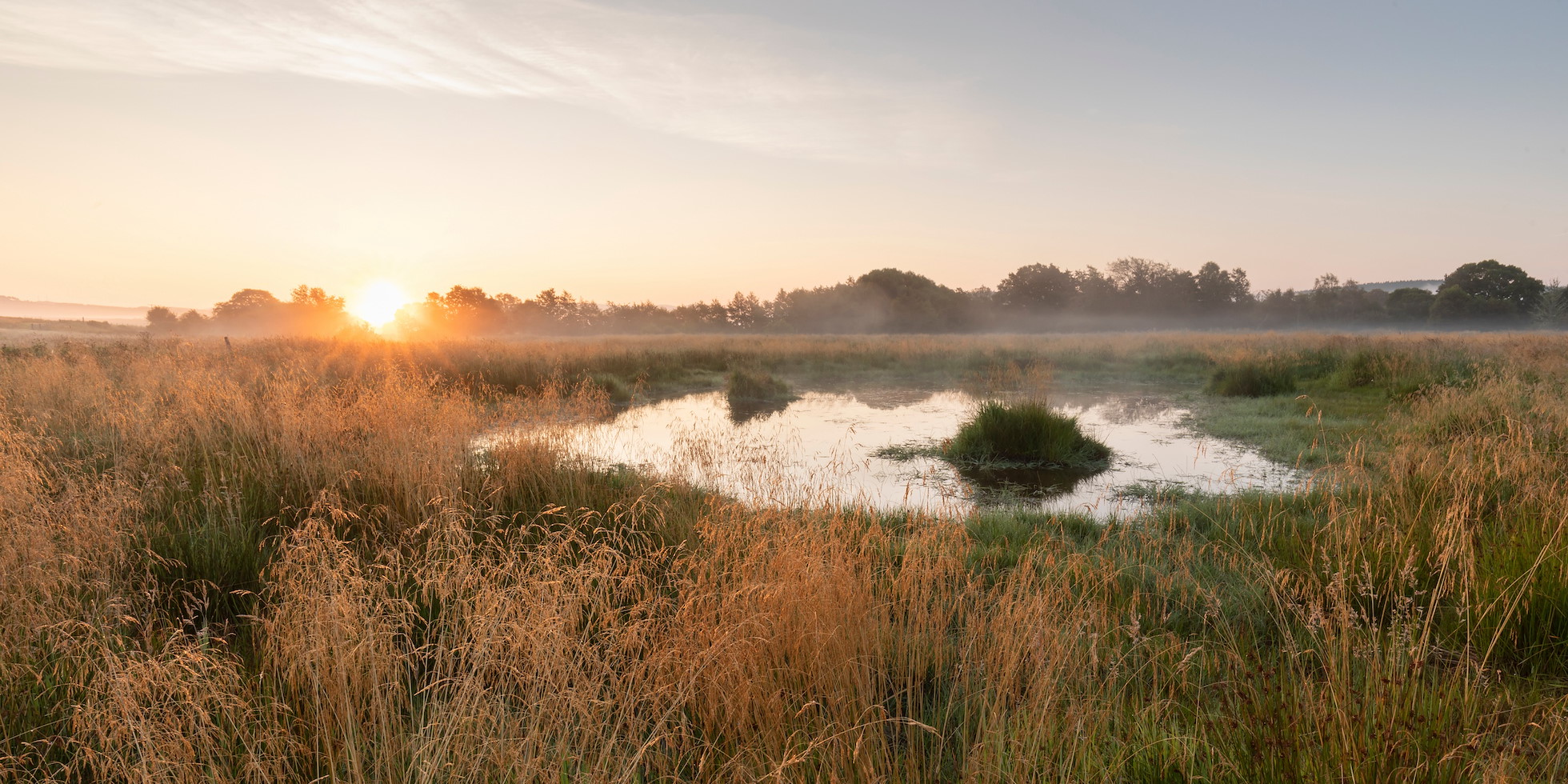 Wader scrape in wetland habitat at sunrise, Scotland