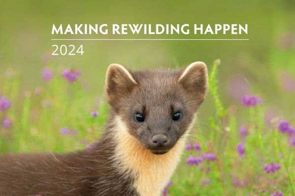 OUR IMPACT IN 2024 OUR IMPACT IN 2024