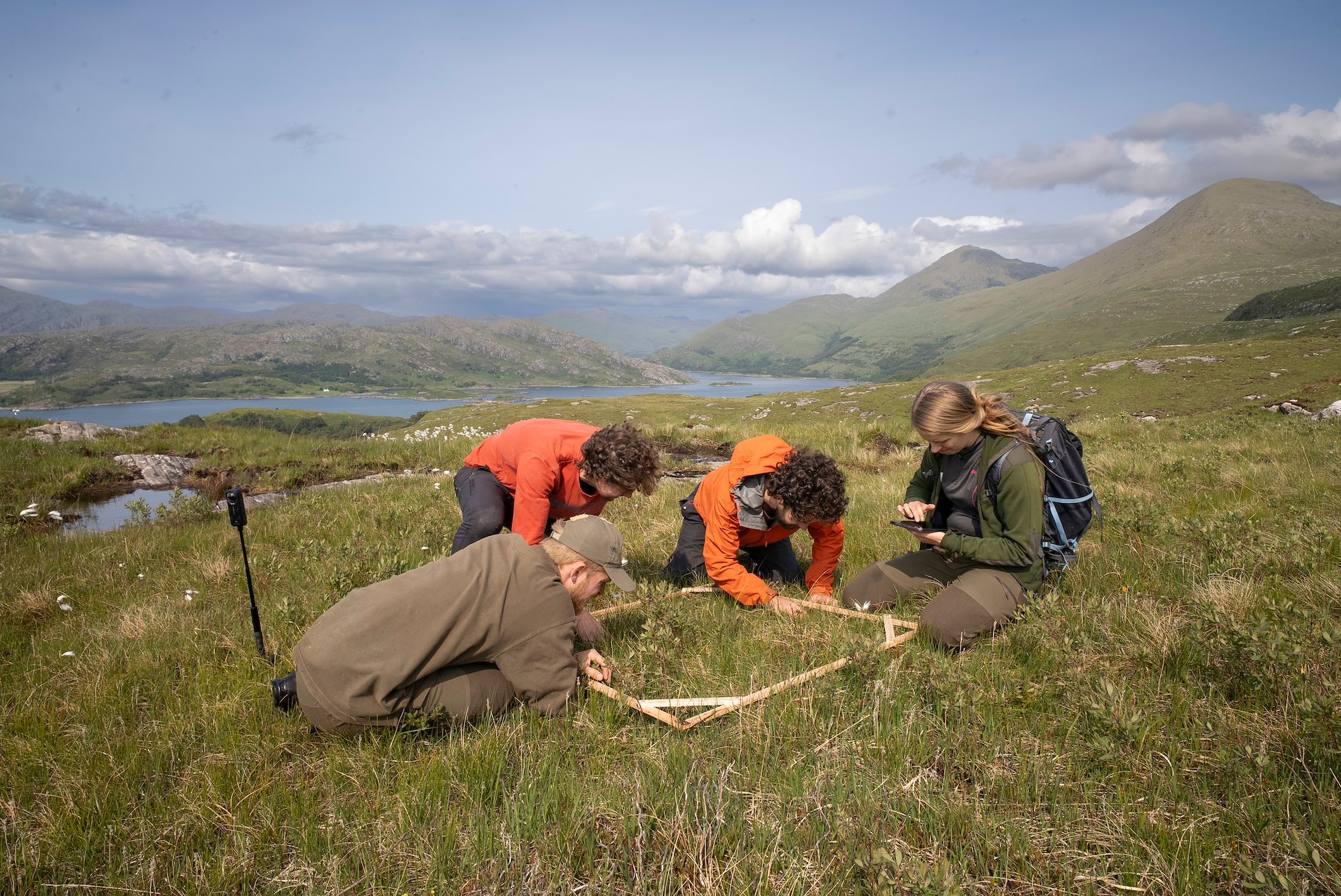 Four people conducting a 1m square quadrat survey of tree seedlings in an area of moorland that was drone seeded with native species in spring 2024. Allt Dubh, Roshven, Lochaber, Scotland, June 2025