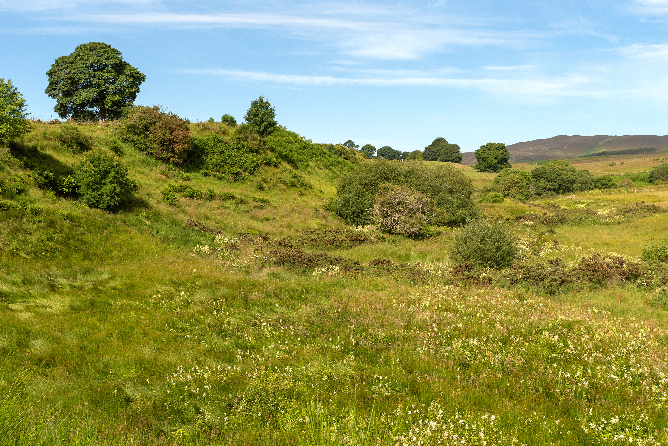 Northwoods partner: Francesfield Farm