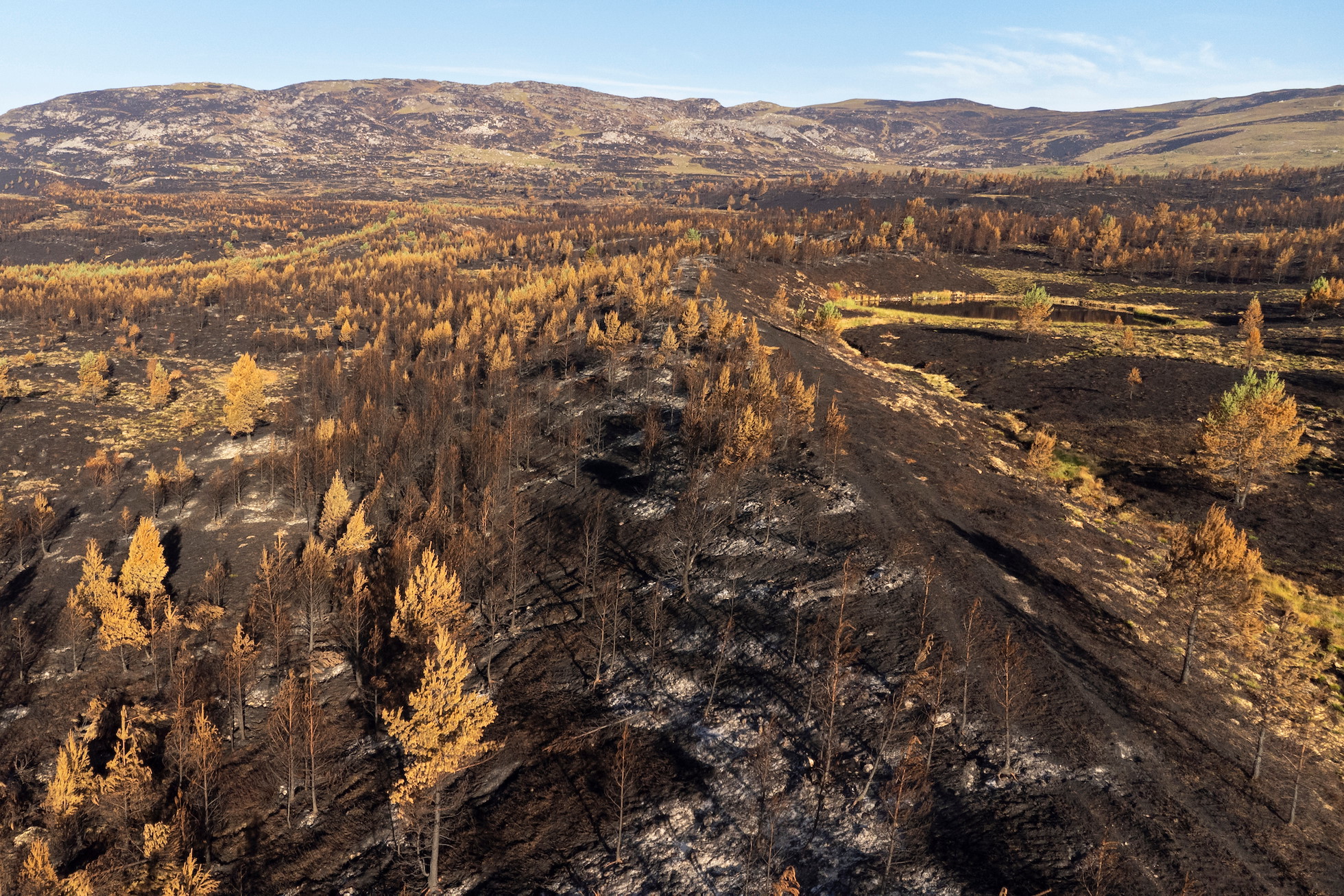 An area of extensive woodland creation badly burnt in an uncontrolled wild fire north of Carrbridge in July 2025. The fire swept across more than 10,000 hectares of heather moorland, peatland and woodland and was the largest in Scottish history.