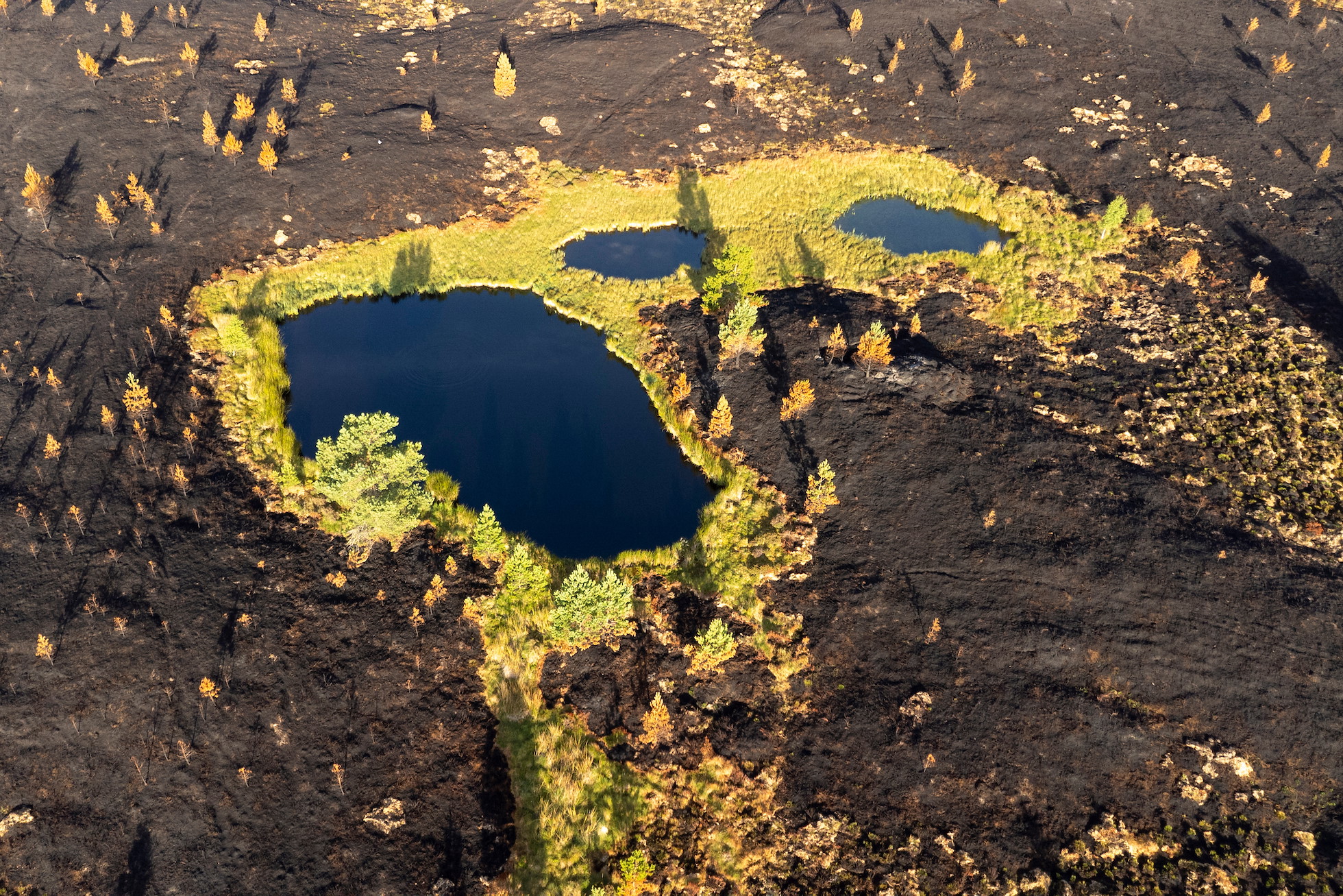 A small lochan and surrounding bog in the middle of an extensive area of burnt heather and young Scots pine woodland following an uncontrolled wild fire north of Carrbridge in July 2025. The fire swept across more than 10,000 hectares of heather moorland, peatland and woodland and was the largest in Scottish history.